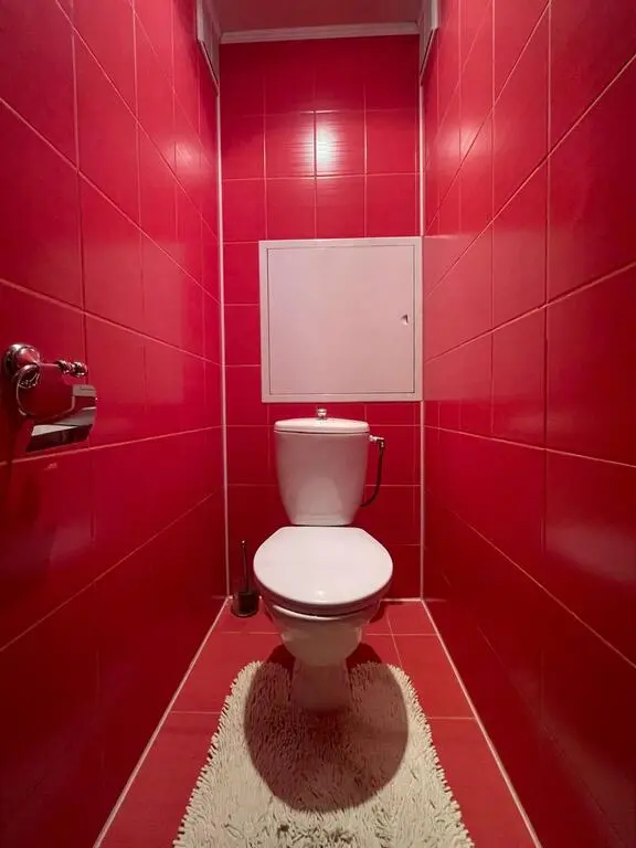 Apartment for daily rent, Bobrujsk, Gagarina str. 35 В — interior photo